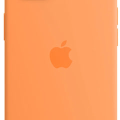 Collection image for: iPhone 13 hoesjes