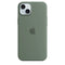iPhone hoesjes